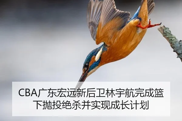 guang-dong-hong-yuan-xin-hou-wei-lin-yu-hang-wan-cheng-lan-xia-pao-tou-jue-sha-bing-shi-xian-cheng-zhang-ji-hua-2-306.jpg
